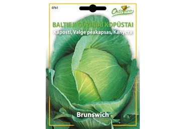 Kopūstai „ Bruswich“ - 3
