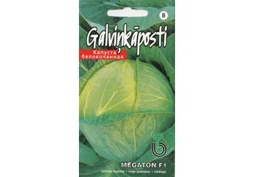 Kopūstai Megaton