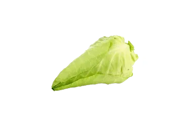 Kopūstas smailėjančia gūže, 1 vnt.
