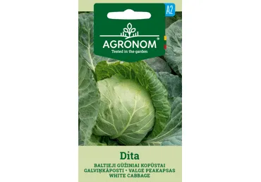 Sēklas: Galviņkāposti DITA gab.