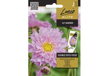 Sēklas.Kosmejas Double Dutch Rose gab.
