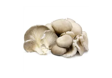 Kreivabūdės, 300 g
