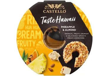 Kreminis sūris CASTELLO su ananasais, 24 % rieb. s. m., 125 g