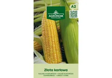 Kukurūzų sėklos ZŁOTA KARŁOWA,  AGRONOM