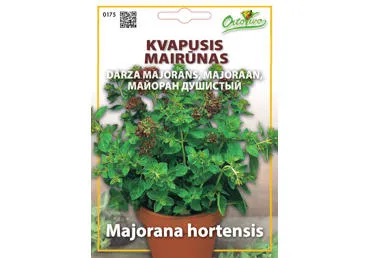 Kvapieji mairūnai - 2,5