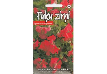 Kvapieji pelėžirniai Villa Roma Scarlet