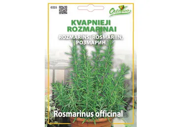 Kvapnieji rozmarinai - 2,2