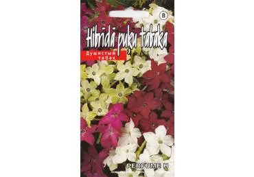 Kvapusis tabakas Perfume H