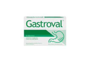 Maisto papildas GASTROVAL, 15 vnt.