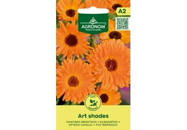 Medetkos Art Shades,  AGRONOM