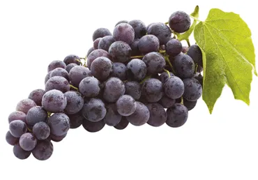 Vīnogas tumšās bez kauliņiem 500g