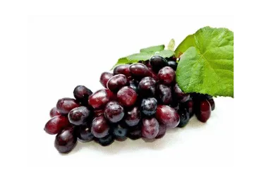 Vīnogas tumšās kg