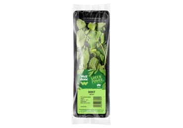 Piparmētra WELL DONE 20g