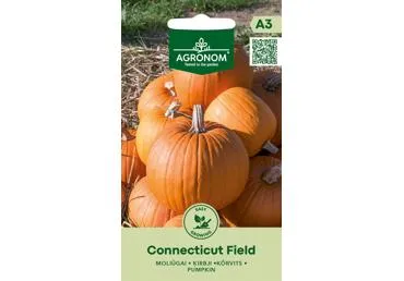 Moliūgai CONNECTICUT FIELD, AGRONOM