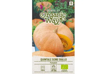 Moliūgų sėklos QUINTALE SEME GIALLO,  ORGANIC WAY