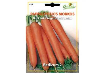 Morkos „Berlicum 2“ - 3