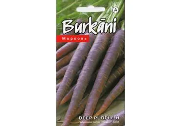 Morkos Deep Purple H