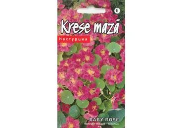 Nasturtos BABY ROSE