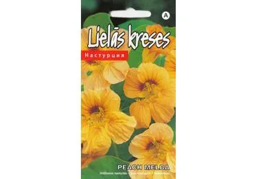Nasturtos Peach Melba