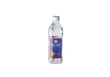Negazuotas natūralus mineralinis vanduo TICHĖ, 500 ml