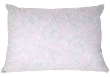 Pagalvė 50x70 cm, su ančių plunks.