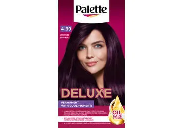 PALETTE DELUXE plaukų dažai 4-99 (880) baklažano