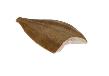 Paltusinės plekšnės, skrostos, atitirpintos, 1 kg