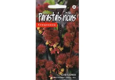 Paprastieji ricinmedžiai Gibsonii