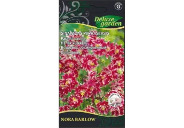 Paprastųjų sinavadų sėklos NORA BARLOW, 1 vnt.