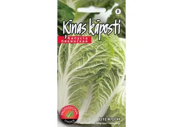 Pekininiai kopūstai BILKO H