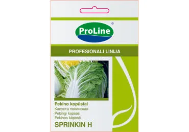 Pekino kopūstai  "Sprinkin H"   - 25s