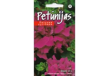 Petunija Duo F1 Burgundija