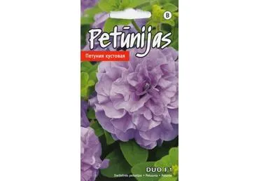 Petunija Duo F1 lavender