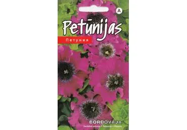 Petunijos Bordovaja