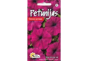 Petunijos SILVIJA H