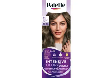 Plaukų dažai PALETTE ICC 6-1, 1 vnt.
