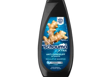 Plaukų šampūnas SCHAUMA MEN Anti-Dandruff Intensive, 350 ml