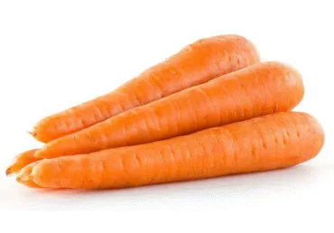 Plautos morkos, 1 kg