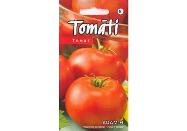 Pomidorai ADAM H