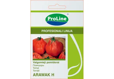 Pomidorai  "Arawak H" - 8s