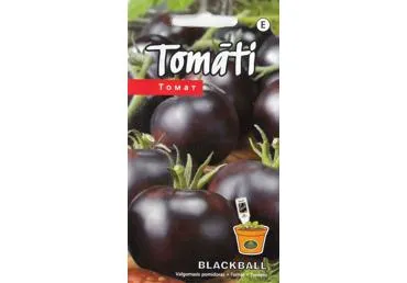 Pomidorai BLACKBALL H