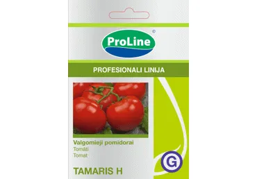 Pomidorai  "Tamaris H" - 8s