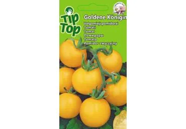 Pomidorai Goldene Königin