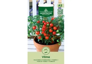 Pomidorai Vilma,  AGRONOM