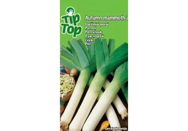 Sēklas: Puravi AUTUMN MAMMOTH2 gab.