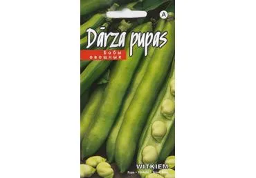 Pupelės Witkiem