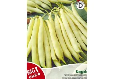 Pupelės žemaūgės daržinės Berggold