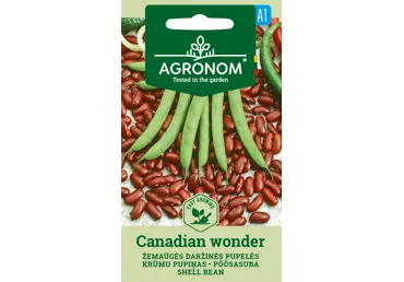 Pupelių sėklos CANADIAN WONDER,  AGRONOM