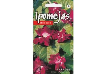 Purpurinis sukutis Raffles