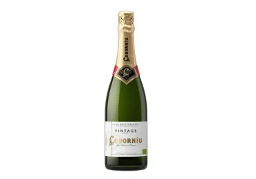 Putojantis baltasis sausas vynas CODORNIU VINTAGE CAVA, 750 ml